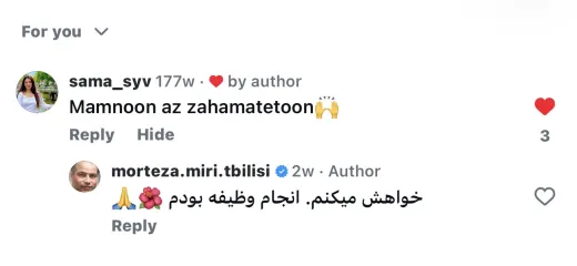 اسکرین‌شات نظر مشتری ثبت ازدواج ایران و آلمان در گرجستان